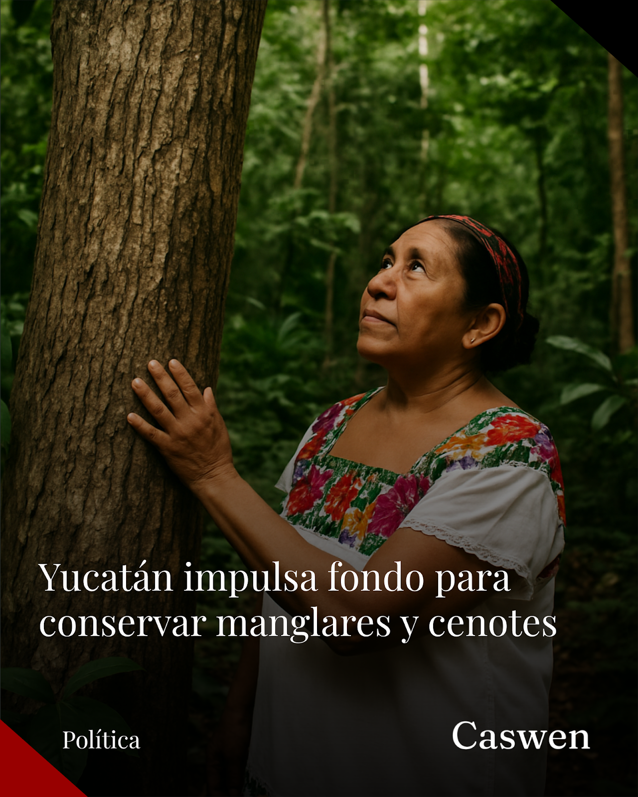 Yucatán lanza fondo ambiental para proteger manglares y cenotes ante desarrollo urbano