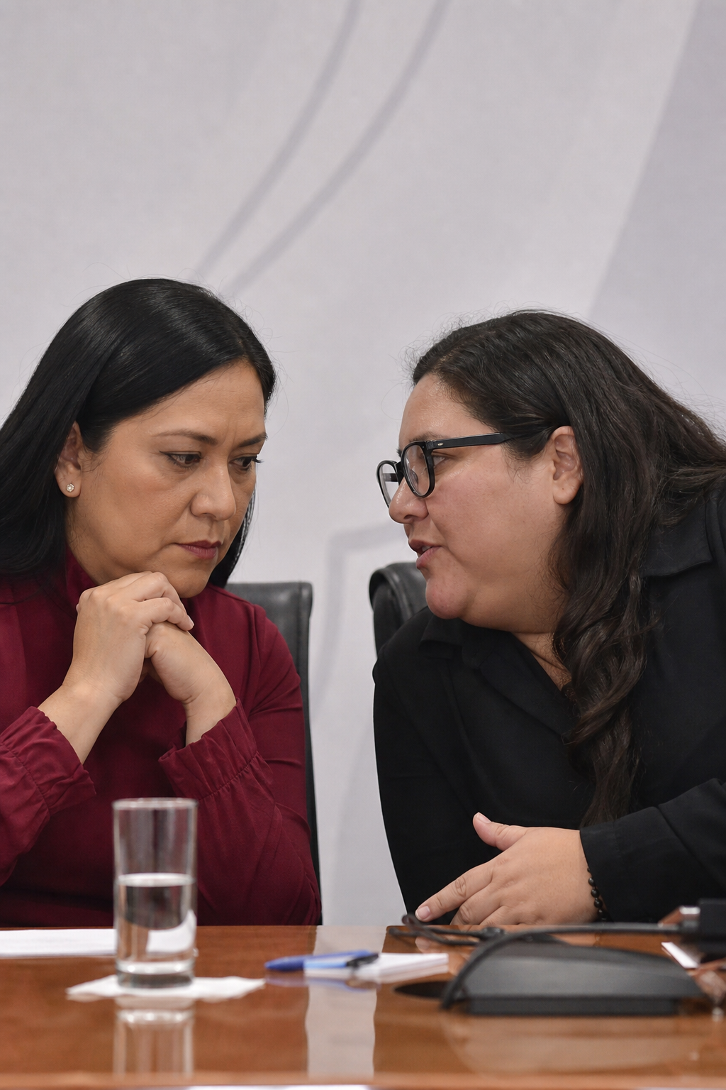 Advierten que sin una mesa política Ariadna Montiel y Citlalli Hernández podrían quebrar la 4T