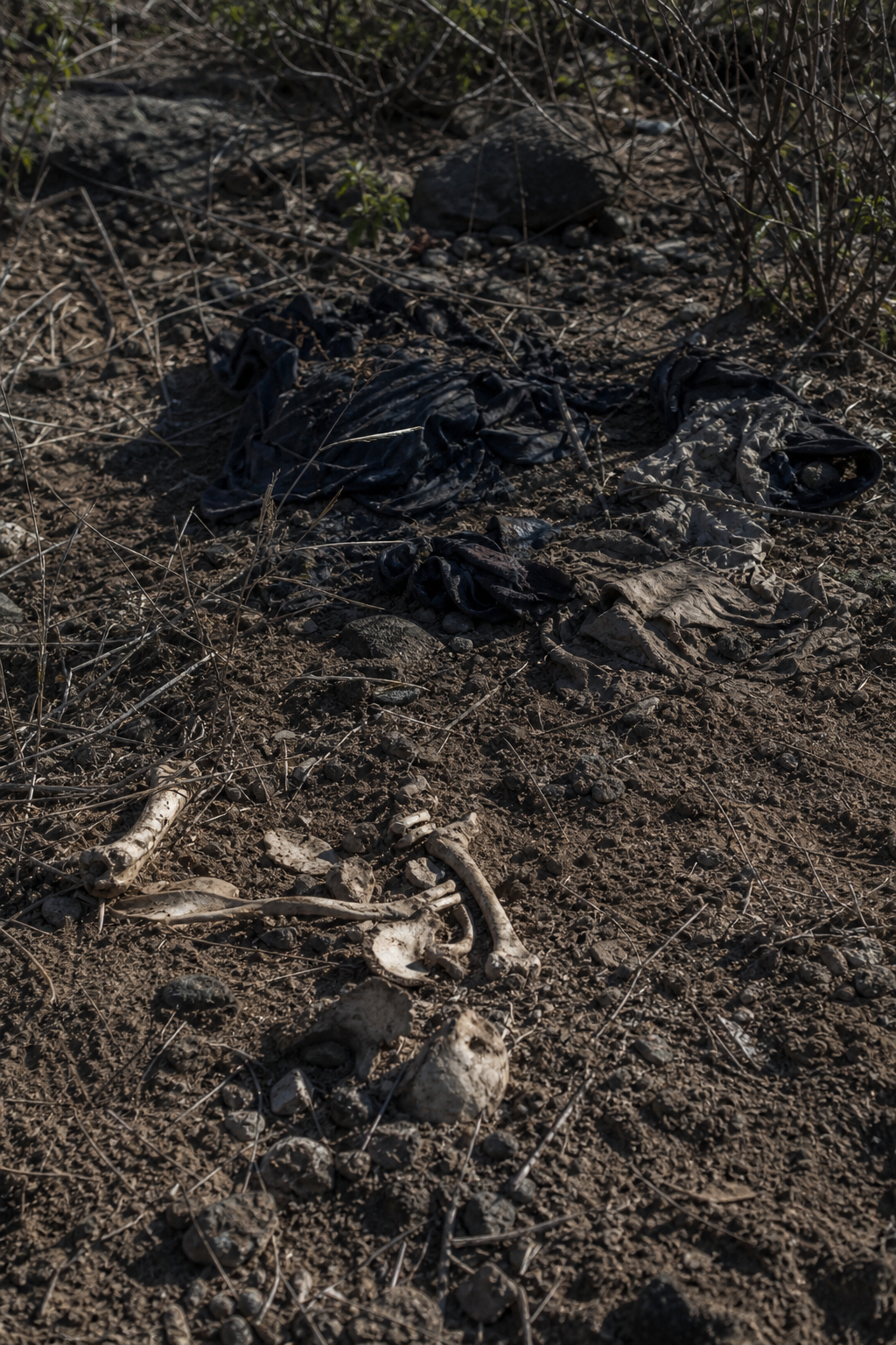 Ropa y restos óseos hallados en predio de Xalisco, Nayarit